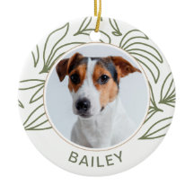 Botaniskt Hund-foto och Namn-jul