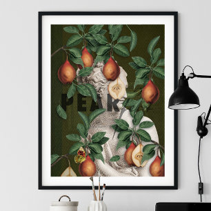 Botaniskt Illustration Collage Venus Poster