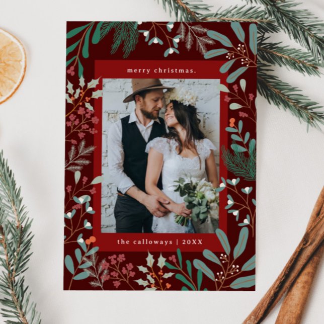 Botaniskt jullrött fotoport, Helgdag Julkort (Skapare uppladdad)