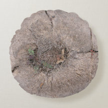 Botaniskt klippt foto av Handflatan Träd