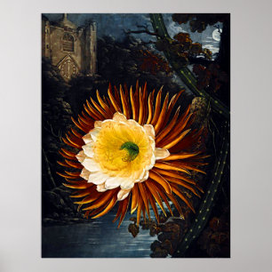 Botaniskt konstmönster av Flora Nattblåsande spann Poster