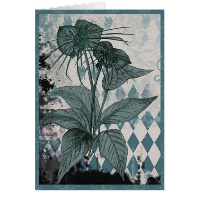 Botaniskt kort för krickafladdermössväxt (Framsidan)