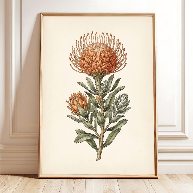 Botaniskt Leucospermum Cottage Väggkonst (Skapare uppladdad)