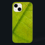 Botaniskt naturfoto från grönt Löv<br><div class="desc">En av mina favoritsak om sommaren tittar runt och ser grönt överallt - grönt, gräs, grönt löv. Här är ett makrofoto från bild som visar en närbild av en ljusstark grönt träd löv. Det här bild är även tapet i widescreenformat "Grönt Löv" från avsnittet Abstrakt Natur på MLeWallpapers.com.</div>