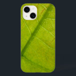 Botaniskt naturfoto från grönt Löv<br><div class="desc">En av mina favoritsak om sommaren tittar runt och ser grönt överallt - grönt,  gräs,  grönt löv. Här är ett makrofoto från bild som visar en närbild av en ljusstark grönt träd löv. Det här bild är även tapet i widescreenformat "Grönt Löv" från avsnittet Abstrakt Natur på MLeWallpapers.com.</div>