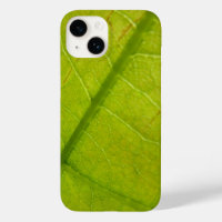 Botaniskt naturfoto från grönt Löv