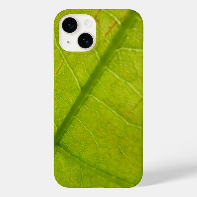 Botaniskt naturfoto från grönt Löv (Baksida)