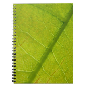 Botaniskt naturfoto från grönt Löv Anteckningsbok