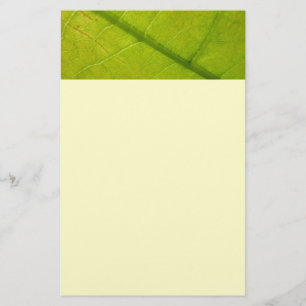 Botaniskt naturfoto från grönt Löv Brevpapper