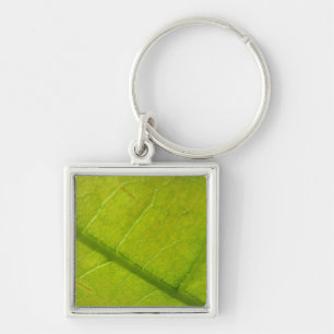Botaniskt naturfoto från grönt Löv Fyrkantig Silverfärgad Nyckelring