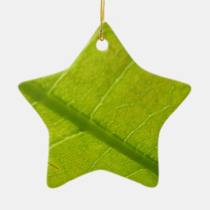 Botaniskt naturfoto från grönt Löv Julgransprydnad Keramik