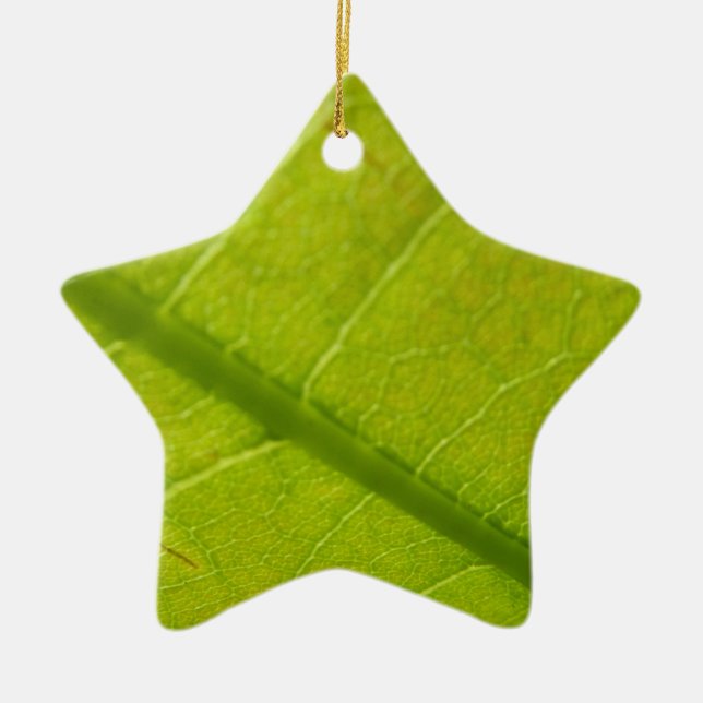Botaniskt naturfoto från grönt Löv Julgransprydnad Keramik (Framsidan)