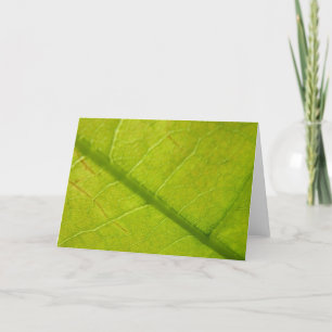 Botaniskt naturfoto från grönt Löv Kort