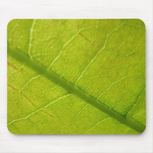 Botaniskt naturfoto från grönt Löv Musmatta (Framsidan)