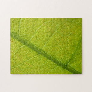 Botaniskt naturfoto från grönt Löv Pussel