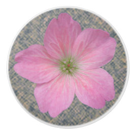 Botaniskt Rosa Geranium Flower på någon Färg Knopp