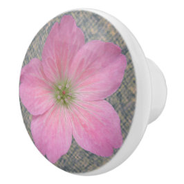 Botaniskt Rosa Geranium Flower på någon Färg Knopp