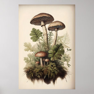 Botaniskt svamptryck, Moss Fern, Vintage Poster