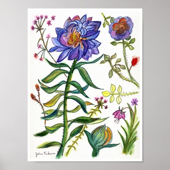 Botaniskt Teckning av Wonderful Blue Flower Poster (Framsidan)