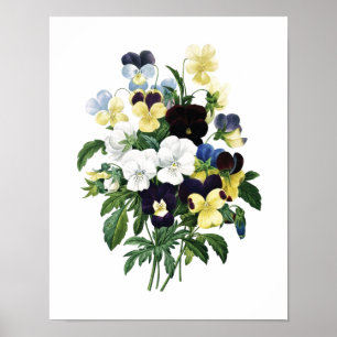 Botaniskt tryck av PANSIES som är original- vid