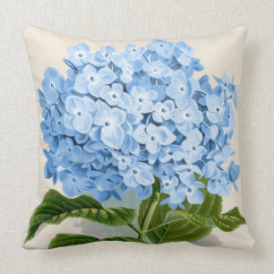 Botaniskt tryck för blåttvanlig hortensia kudde