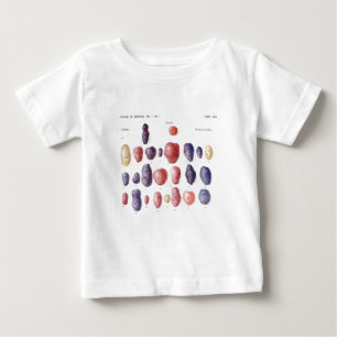 Botaniskt tryck för vintagepotatis t shirt