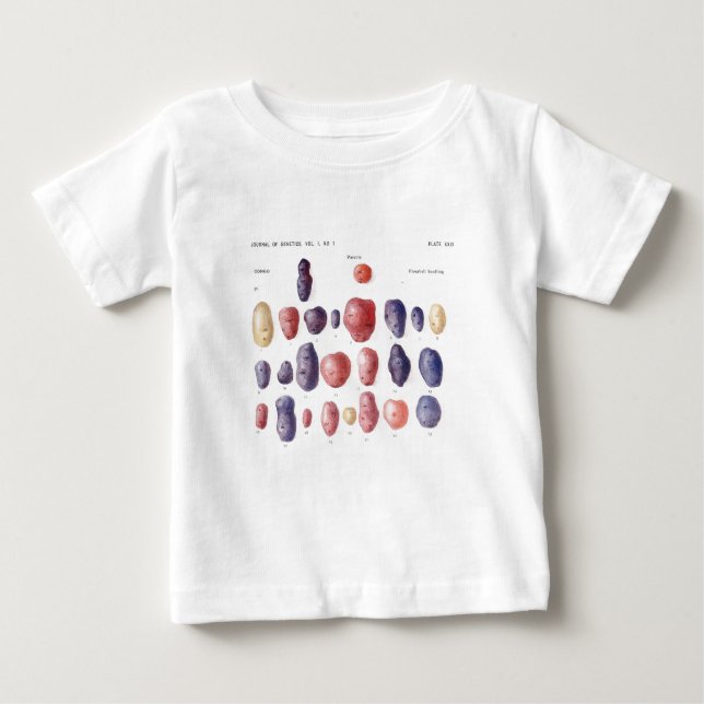 Botaniskt tryck för vintagepotatis t shirt (Framsida)