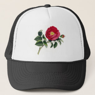 Botaniskt tryck - fransk steg (Rosa Gallica) Truckerkeps