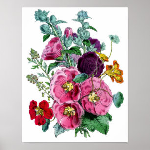 Botaniskt tryck - Hollyhocks & ro