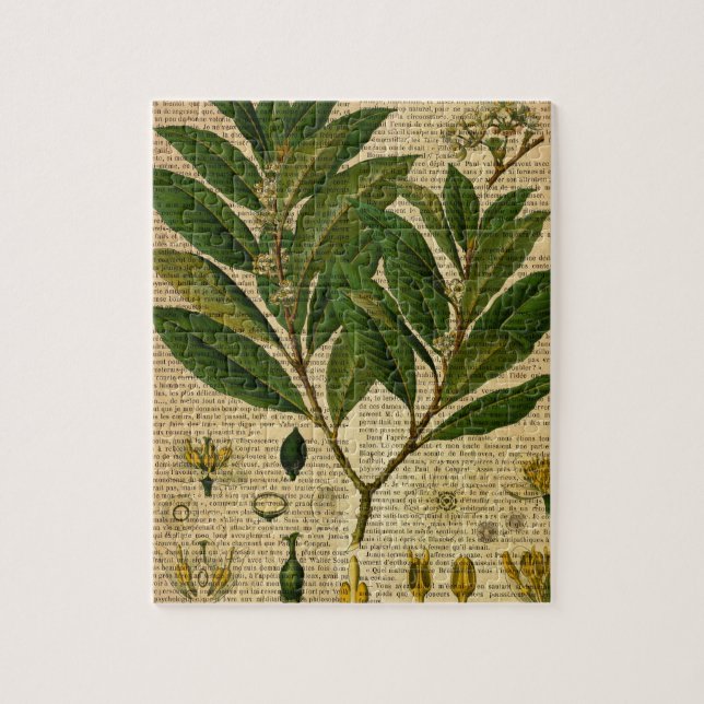 Botaniskt tryck på den gammala boksidan pussel (Vertikal)