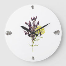 Botaniskt utkast av lavender & Gult Wildblome