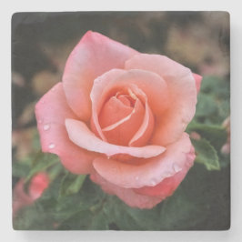 Botaniskt utskrift av rumänsk Ro Stenunderlägg