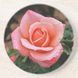 Botaniskt utskrift av rumänsk Ro Underlägg