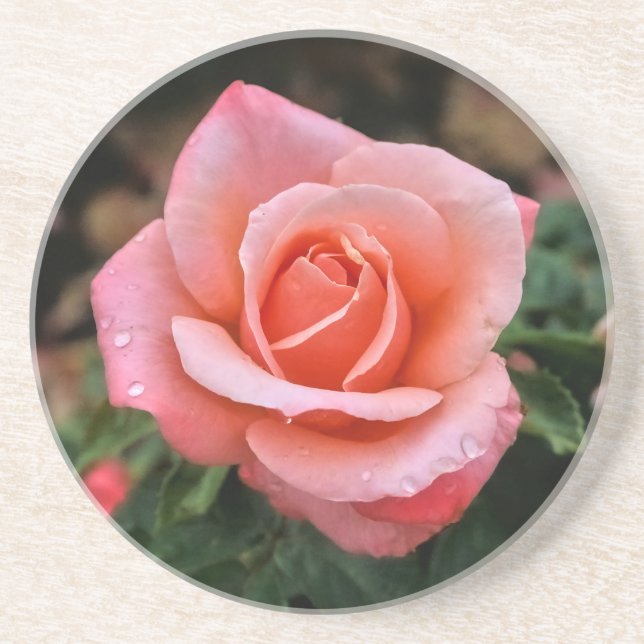 Botaniskt utskrift av rumänsk Ro Underlägg (Framsidan)