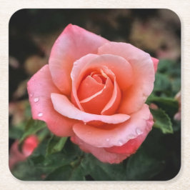 Botaniskt utskrift av rumänsk Ro Underlägg Papper Kvadrat