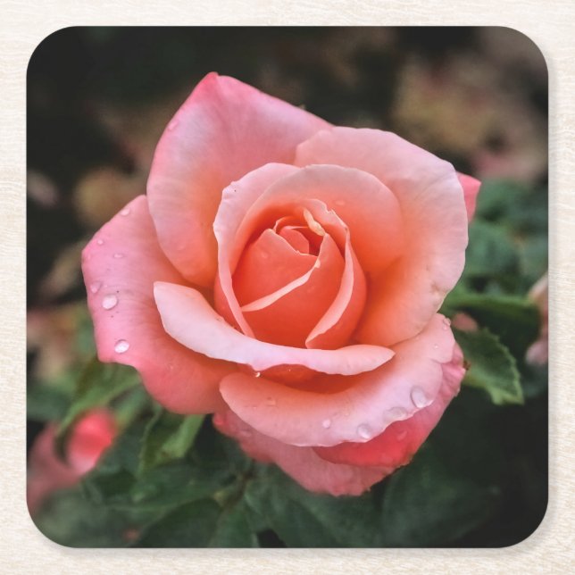 Botaniskt utskrift av rumänsk Ro Underlägg Papper Kvadrat (Framsidan)