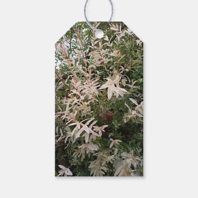 Botaniskt vildblommigt presentkort presentetikett (Framsidan)