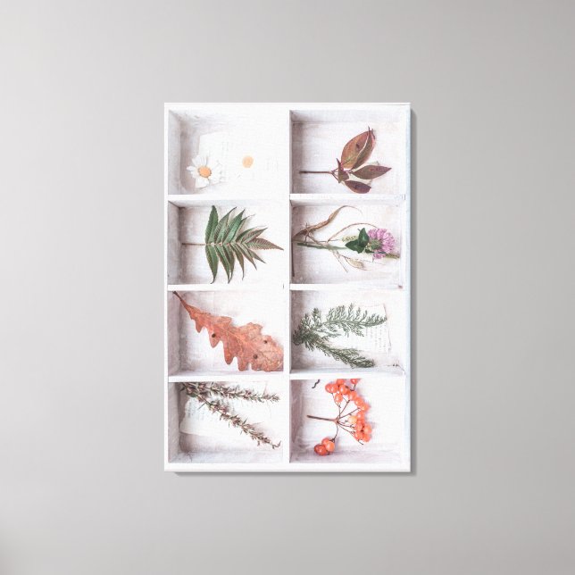 Botaniskt vitt skuggbox, blommor blad ormbunkar canvastryck (Framsida)