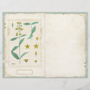 Botaniskt Wildblomssegment Journal Page Front/Back