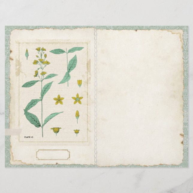 Botaniskt Wildblomssegment Journal Page Front/Back (Framsida)