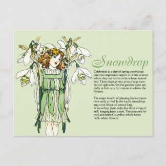 Botany Collector Vintage Snowdrops Girl Plant Info Vykort