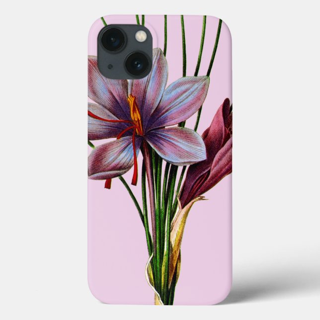 Botany: Saffron (Baksida)