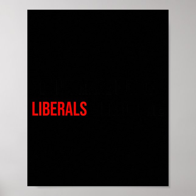 (both Side) Don't Make Fun Of Liberals Without Me  Poster (Framsidan)