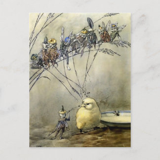 "Bother the Gnat" av A Duncan Carse Vykort