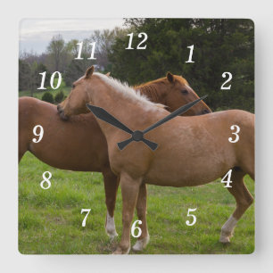 Bothing Beauties Wall Clock Fyrkantig Klocka
