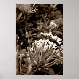 Botões Poster