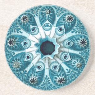 Botryllus Polycyclus Ernst Haeckel Fine Art Underlägg