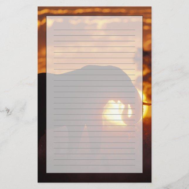 Botswana, Chobe National Park, Bull Elephant Brevpapper (Framsida)