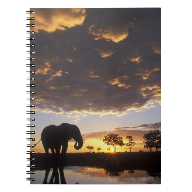 Botswana, Chobe National Park, Elefant Anteckningsbok Med Spiral (Framsidan)