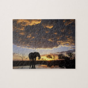 Botswana, Chobe National Park, Elefant Pussel